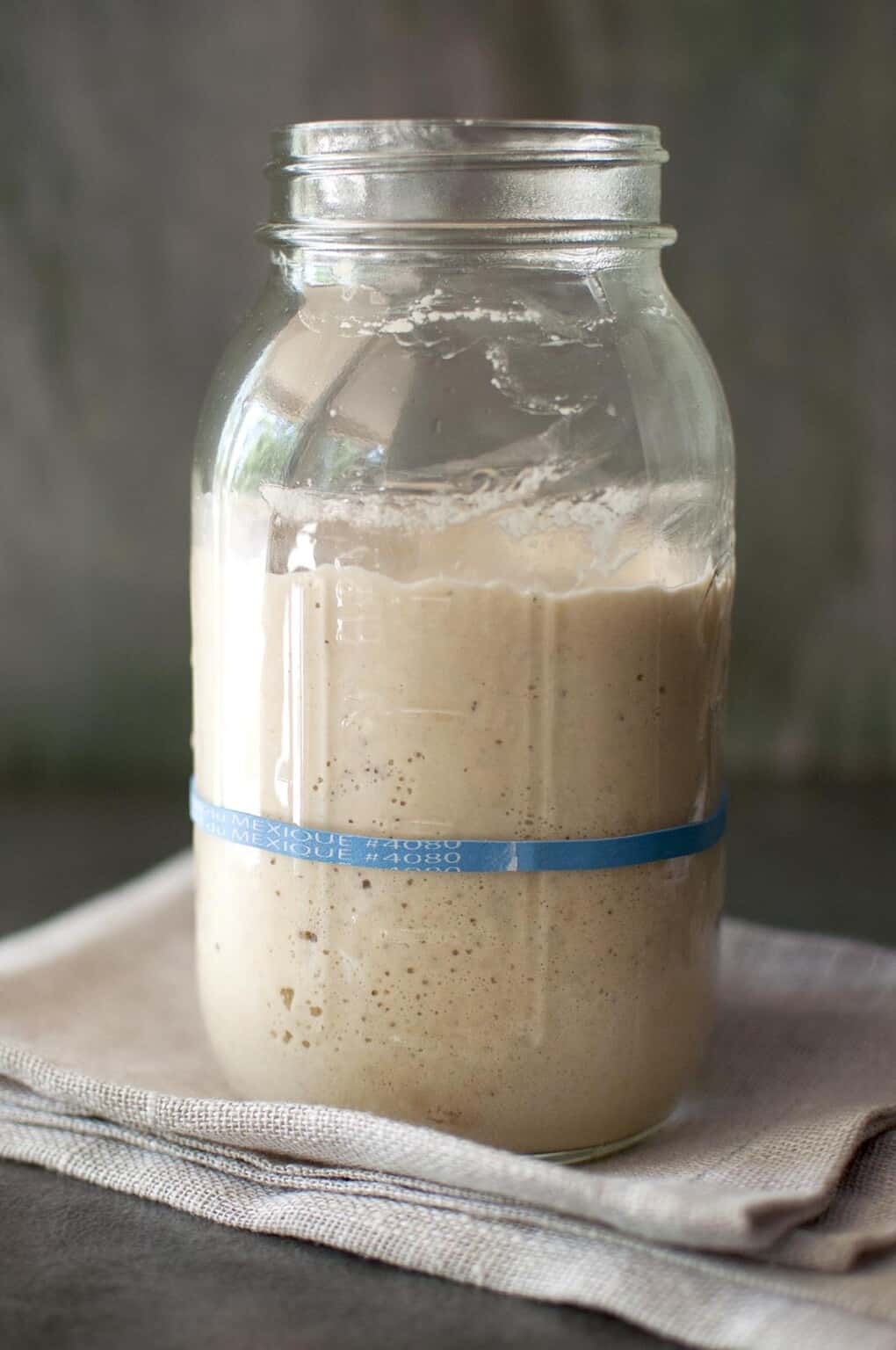 Potato Sourdough Starter without Yeast | Cook's Hideout